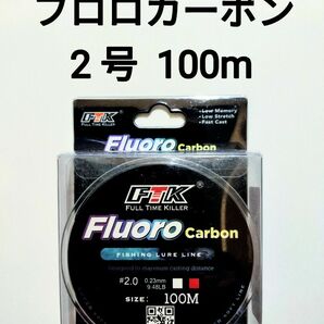 フロロカーボン　ライン　2.0号　100m　9.48lb　釣り糸　リーダー