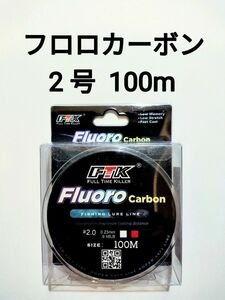 フロロカーボン　ライン　2.0号　100m　9.48lb　釣り糸　リーダー