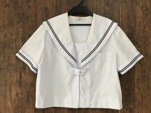 ss_0753y * outside fixed form delivery * large size LL degree Miyazaki prefecture day south city .. rice field middle . summer clothing short sleeves designation sailor suit yacht YACHT made woman uniform 