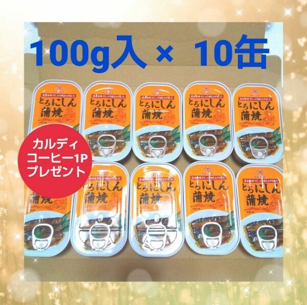 ちょうした とろ にしん蒲焼 缶詰 10缶 遠赤焙焼でじっくり焼き上げ★カルディドリップコーヒー1Pプレゼント付★