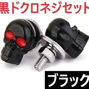 バイク ナンバープレート ステー 黒ドクロネジ頭 ナット ワッシャ スプリング 2セット ブラケット ホルダー 原付 スクーター