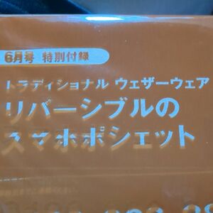 インレッド付録　スマホポシェット