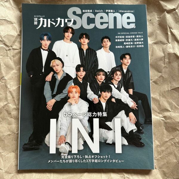 別冊カドカワScene 10 ini