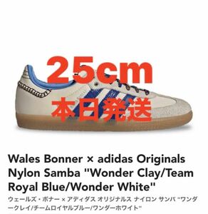Wales Bonner × adidas Nylon Samba 25cm