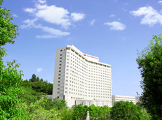 [ новейший ]ANA Crown pra The отель Sapporo / Chitose / Narita / Kanazawa / Nagoya / Akita / Toyama / Niigata / Кусиро город др. жилье 20% скидка пригласительный билет 1 листов ~5 листов 