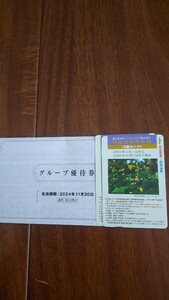 阪急阪神ホールディングス 株主回数乗車証2回カード２プラスグループ優待券1個