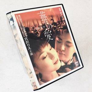華の愛 遊園驚夢 DVDレンタル落ち