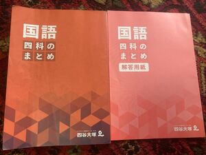 4科のまとめ　国語　 四谷大塚　中学受験