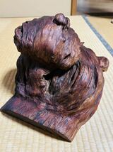 屋久杉 こぶ 5.5kg_画像2