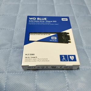 WesternDigital M.2 SATA SSD 1TB 未開封