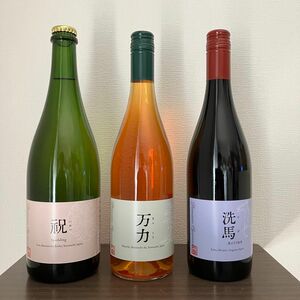 【ドメーヌオヤマダ】３本セット　洗馬2021&祝2021&万力2022