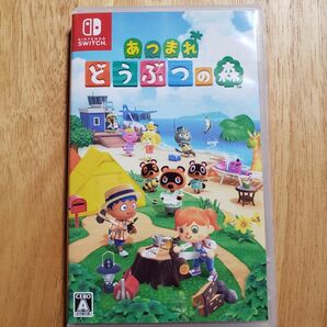 あつまれ どうぶつの森 Switch