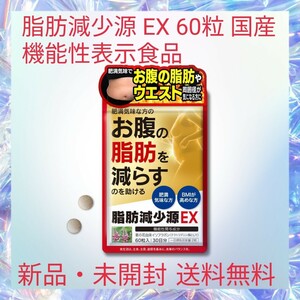 脂肪減少源 EX 60粒 国産 機能性表示食品 肥満気味な方の 体重 お腹の脂肪 ウエスト周囲径を減らすのを助ける 葛の花由来イソフラボン 配合