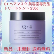 Q+ ヘアマスク 美容室専売品 トリートメント 250g 洗い流す ヘアトリートメント キューティクル補修 内側からのダメージケア処方_画像1