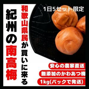 高級 昔ながら 紀州南高梅 1kg かわあつ梅 無添加 和歌山 紀州 白梅