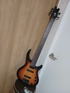 Epiphone Toby Deluxe-V Bass VS 5弦ベース