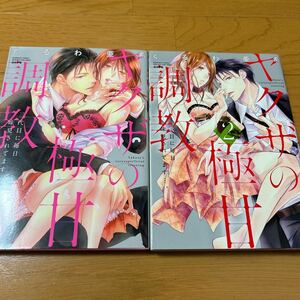 ヤクザの極甘調教 三代目に毎日味見されてます…。　1〜2巻セット
