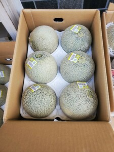 otome melon 1 box 5 kilo. Ibaraki prefecture asahi . production *