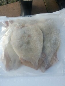 i. salted and dried overnight 5 sheets one sack. Pacific flying squid!