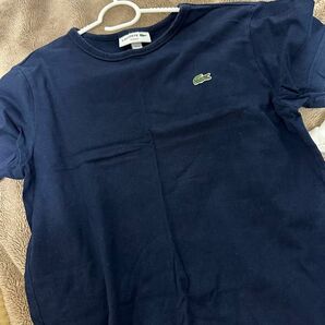 ラコステ Tシャツ 大幅値下げ