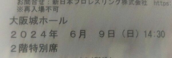 新日本プロレス　2024/6/9 大阪城ホール　チケット1枚　2階特別席　Aブロック