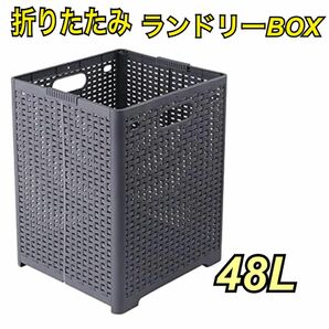 ランドリーバスケット 折りたたみ 48L 軽量 大容量 洗濯かご 丸洗い グレー バスケット 洗濯カゴ おしゃれ ランドリー収納