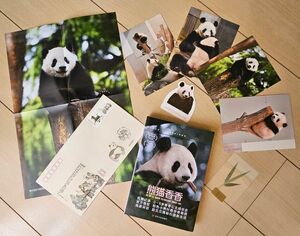 熊猫香香　シャンシャン 上野動物園