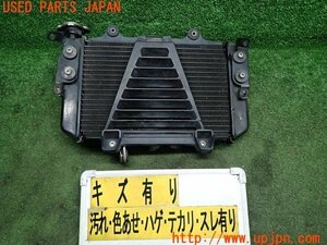 3UPJ=11810123]BMW・G 310R(G31AA)純正 ラジエーター ラジエター 中古