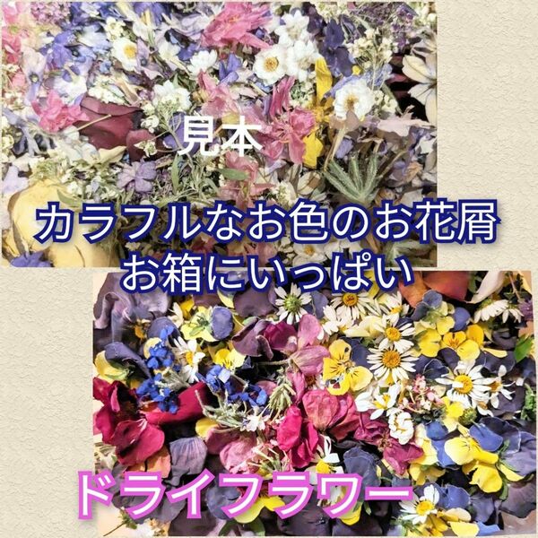 ドライフラワー　カラフルなお花ミックス