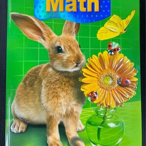 数学 レベル K Houghton Mifflin Math