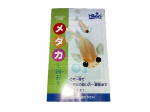 ◆メダカの飼い方〜繁殖まで(小冊子)◆ラムズホーン数匹　タニシ貝類