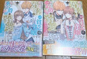 成り行きで婚約を申し込んだ弱気貧乏令嬢ですが、何故か次期公爵様に溺愛されて囚われています　2冊セット