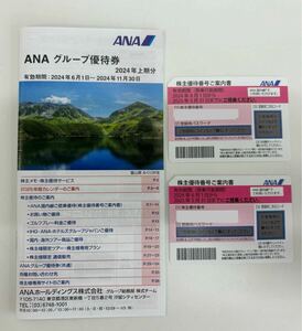 ANA アナ　株主優待券　送料無料　発送すぐ　有効期間2024.06.01〜2025.05.31まで