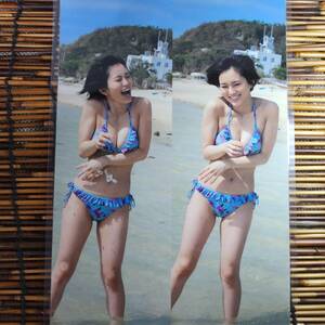 [ высокое качество толстый 150μ ламинирование обработка ] Yamamoto Sayaka купальный костюм B5 журнал вырезки 6 страница [ bikini model ]l6