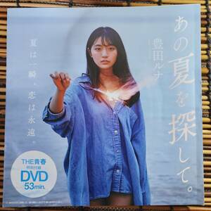 プレイボーイ2021年NO.35　特別付録DVD　メイキングムービー　53分　豊田ルナ