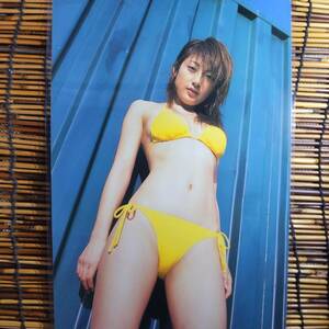 【高品質厚手１５０μラミネート加工】熊田曜子 ヤンマガBIKiNIES2004.1.27 水着 A4 雑誌切り抜き 5ページ 【グラビアアイドル】