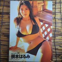 【高品質厚手１５０μラミネート加工】根本はるみ ヤンマガBIKiNIES2004.1.27 水着 A4 雑誌切り抜き 2ページ 【グラビアアイドル】_画像2