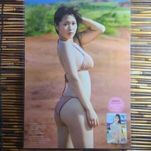 [ high quality super thick 250μ laminate processing ] south ... Young Magazine 2024NO.17 swimsuit B5 magazine scraps 4 page [ bikini model ]