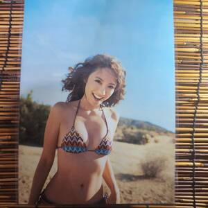 [ high quality thick 150μ laminate processing ] Yamamoto .2013 swimsuit A4 magazine scraps 6 page [ bikini model ]j4