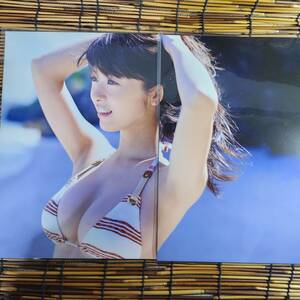 [ high quality thick 150μ laminate processing ] horse place ... swimsuit A4 magazine scraps 3 page [ bikini model ]l2