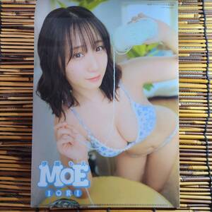 . woven ..MOE IORI 2023 year Young animal 21 number special appendix B5 clear file 