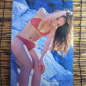 【高品質厚手１５０μラミネート加工】五十嵐りさ ヤンマガBIKiNIES2004.1.27 水着 A4 雑誌切り抜き 6ページ 【グラビアアイドル】