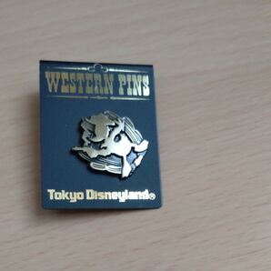 【削除予定】ディズニー ドナルド 東京ディズニーランドピンバッジ