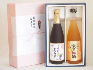  Father's day gratitude. present box ..100% juice . fruit plum wine 2 pcs set ( have machine navy blue code grape ..100%....... fragrance yuzu plum wine )