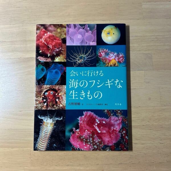 会いに行ける海のフシギな生きもの 吉野雄輔／著　ネイチャー・プロ編集室／構成