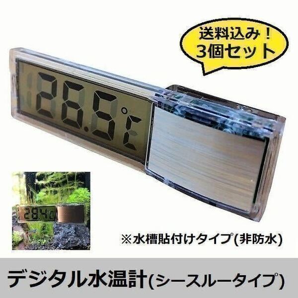 【送料込み！3個セット】デジタル水温計(シースルータイプ)