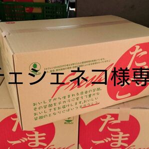 チェシャネコ様専用 北海道産 玉子 赤玉Mサイズ10キロ 鶏卵