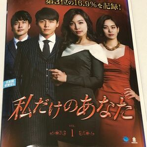 私だけのあなた　全40巻 韓国ドラマ DVD レンタルアップ