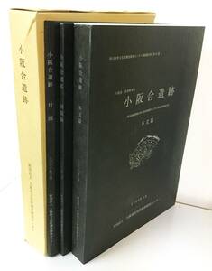 『八尾市 若草町所在 小阪合遺跡 ー都市基盤整備公団 八尾団地建替えに伴う発掘調査報告書ー』（2000年・大阪府文化財調査研究センター）