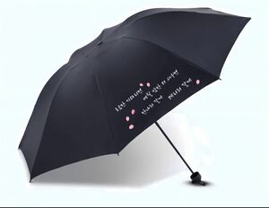 BTS spring day 折りたたみ傘 ケース付